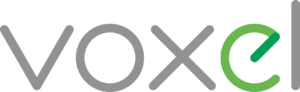 Voxel logo